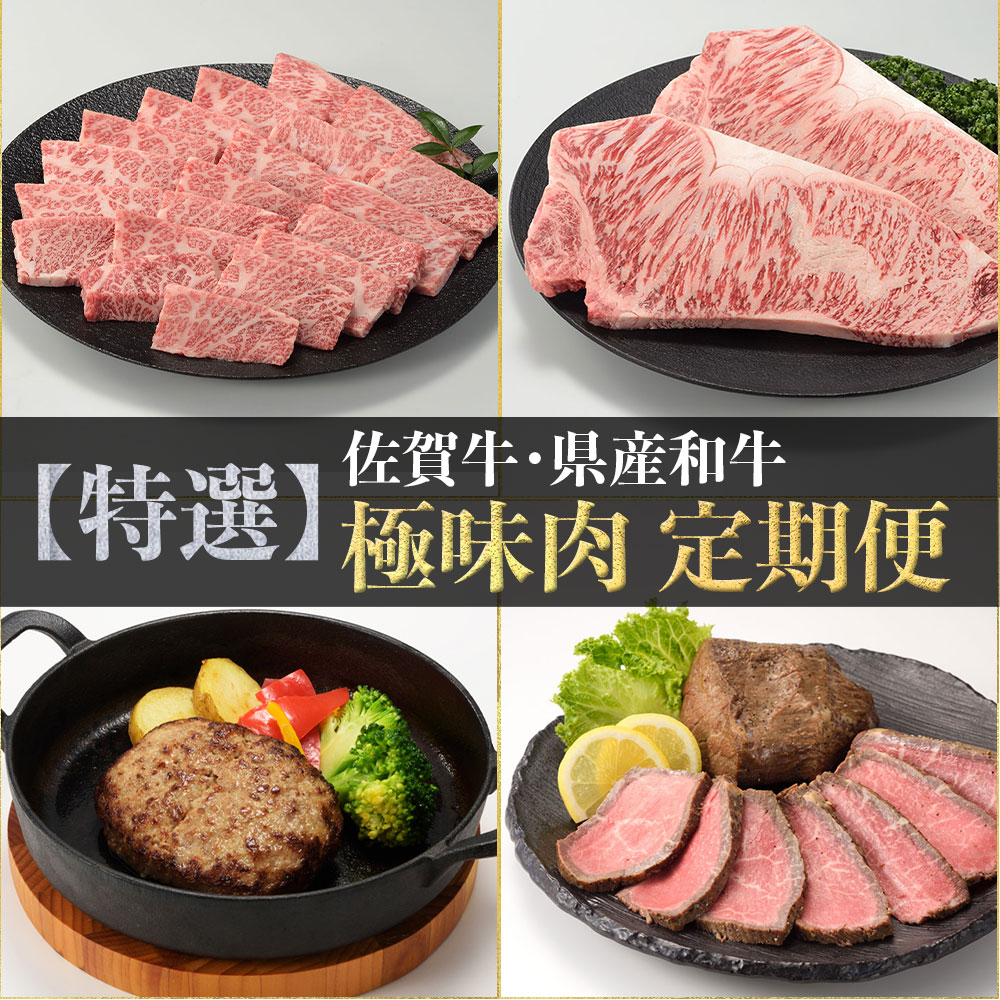 【特撰】佐賀牛・県産和牛　極味肉定期便