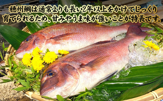 穂州鯛の新鮮カルパッチョ（8袋入）