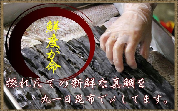 新鮮真鯛昆布〆炙り＆真鯛炙りの味比べセット