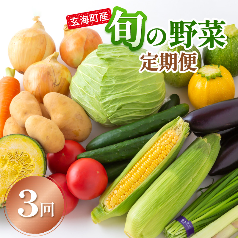玄海町産旬の野菜(3回)
